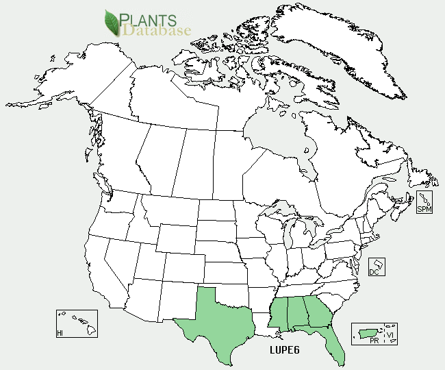 north american distribution for this plant