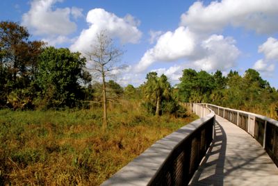 Hillsboro Pineland Natural Area