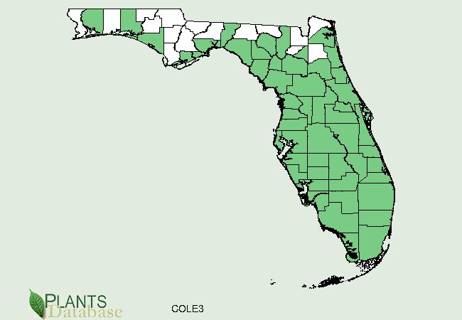 florida distribution map