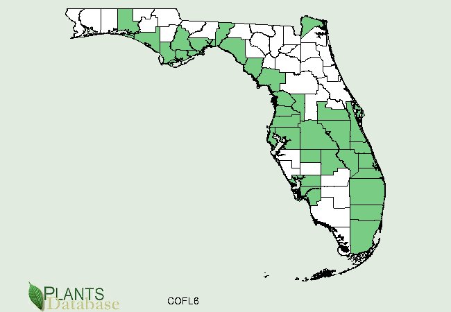 florida counties