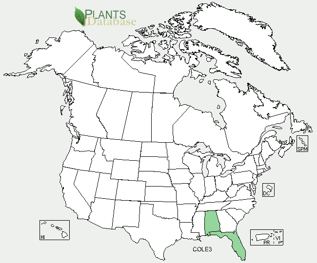 u.s. map