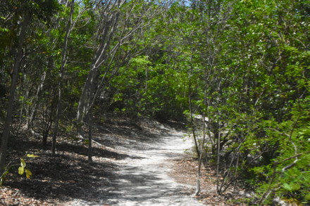 fort zachary taylor tate park