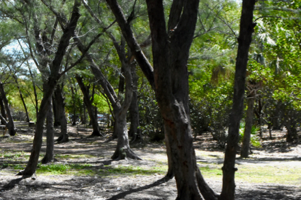 fort zachary taylor tate park