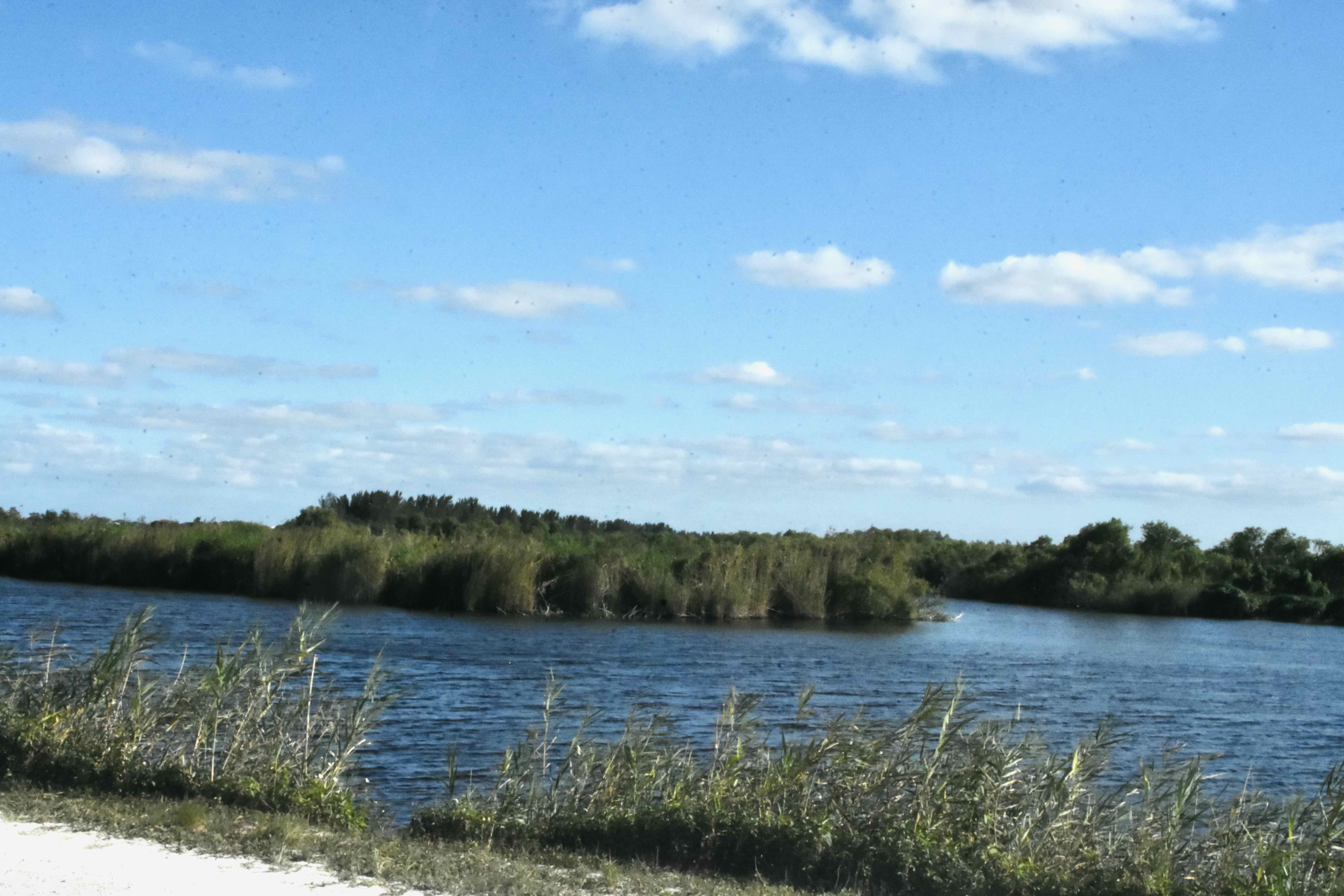 marsh and tree islands