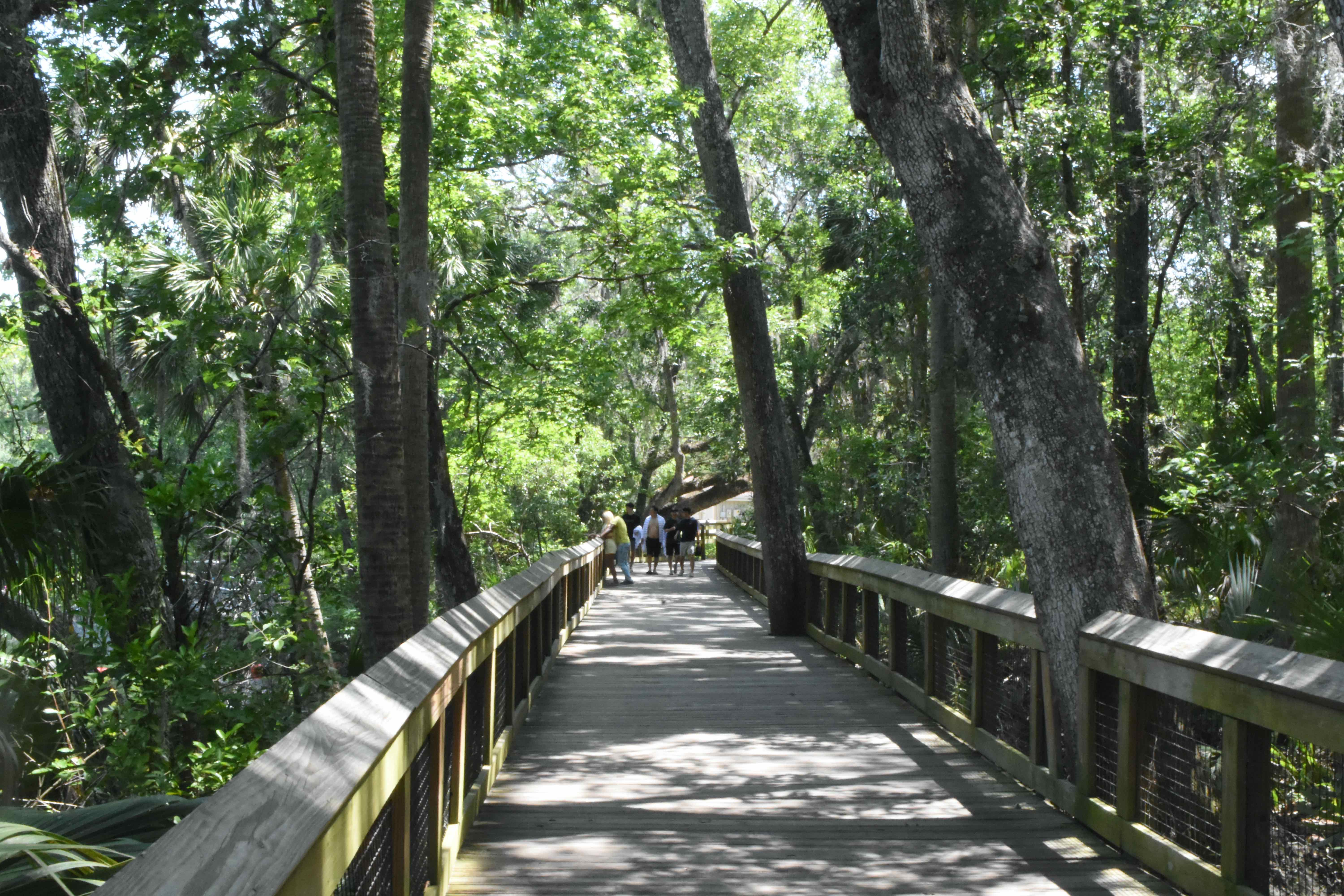 spring trail