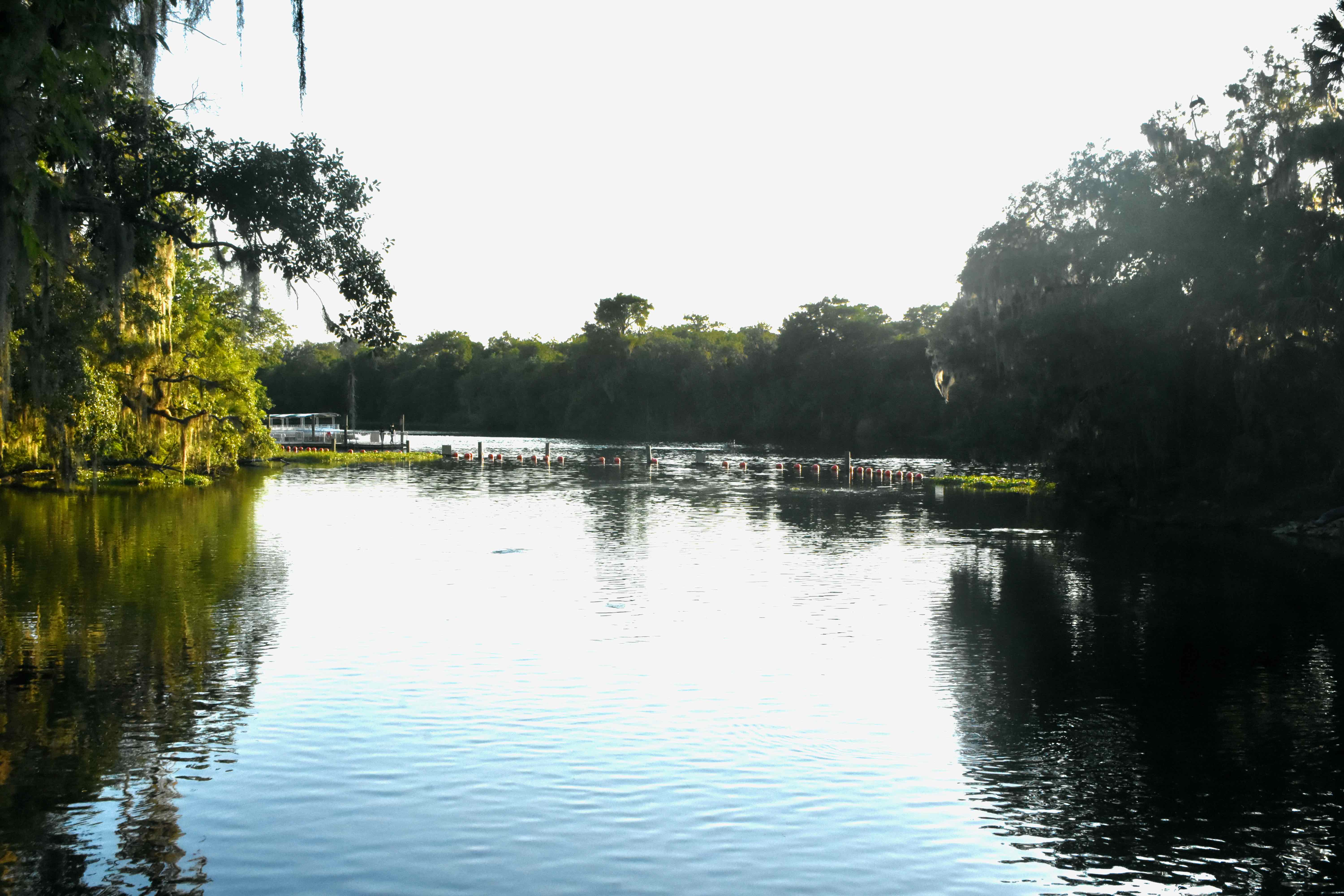 st. johns river