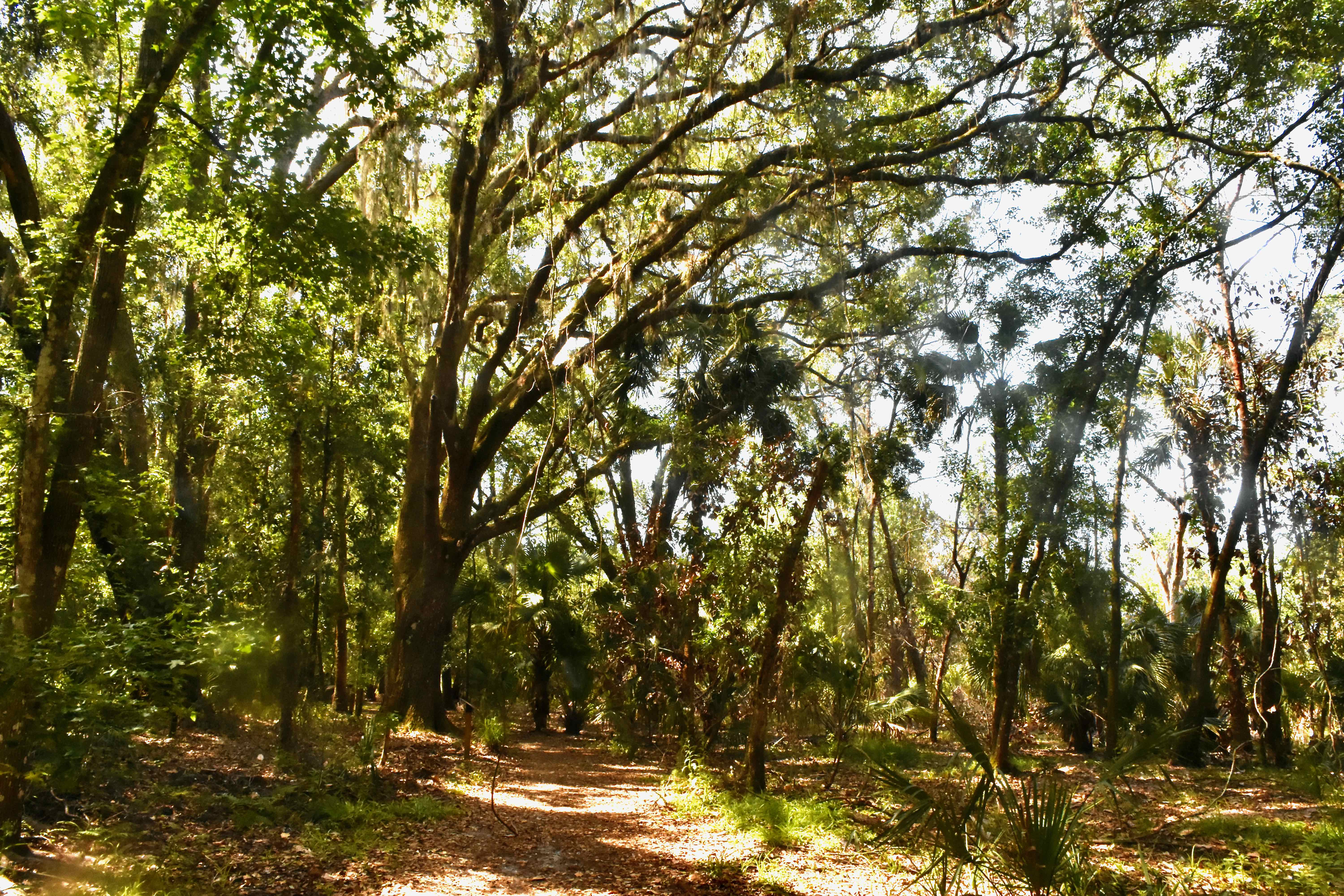 pine island trail