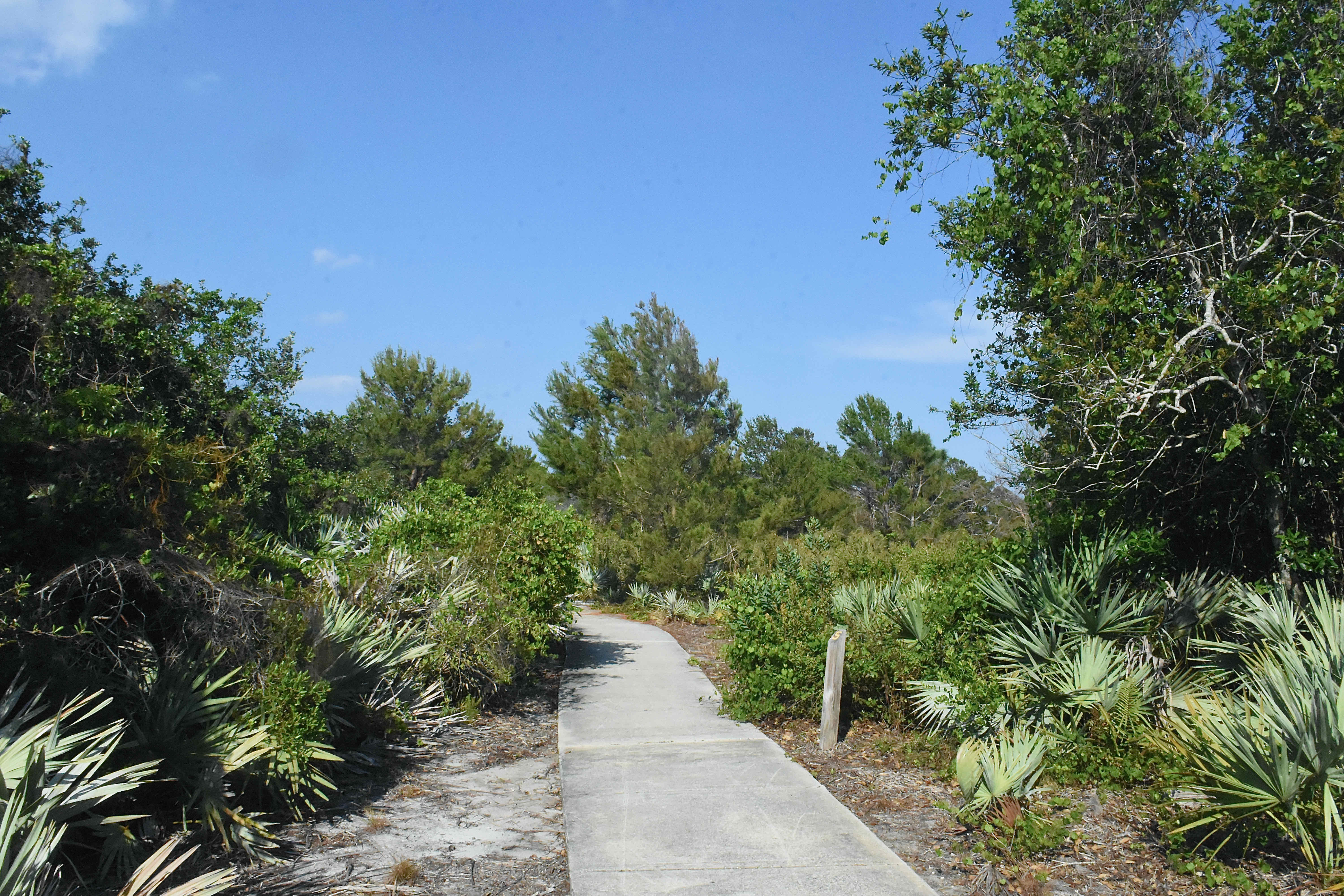 accessible trail