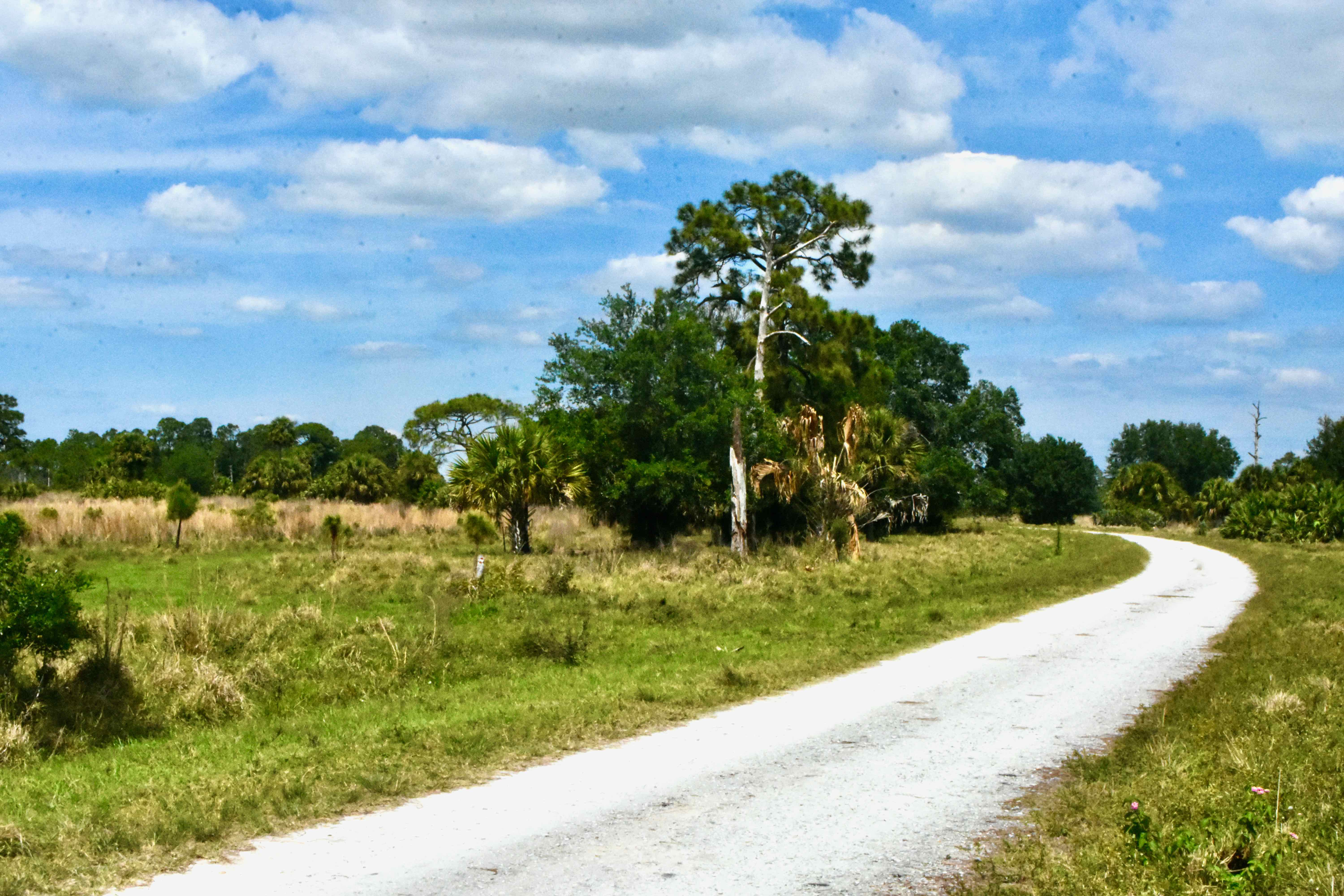 gravel road