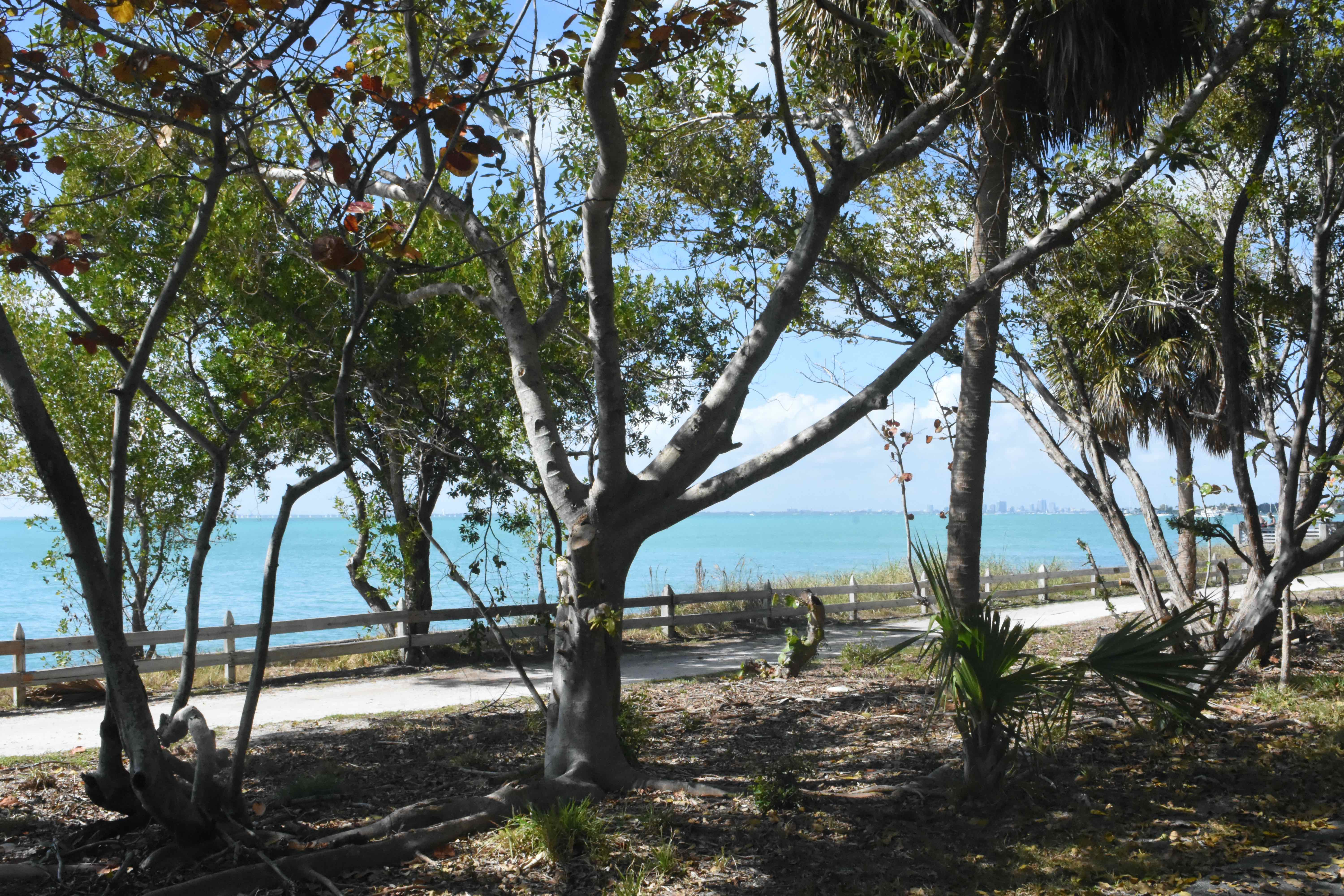 seawall walking and biking trail
