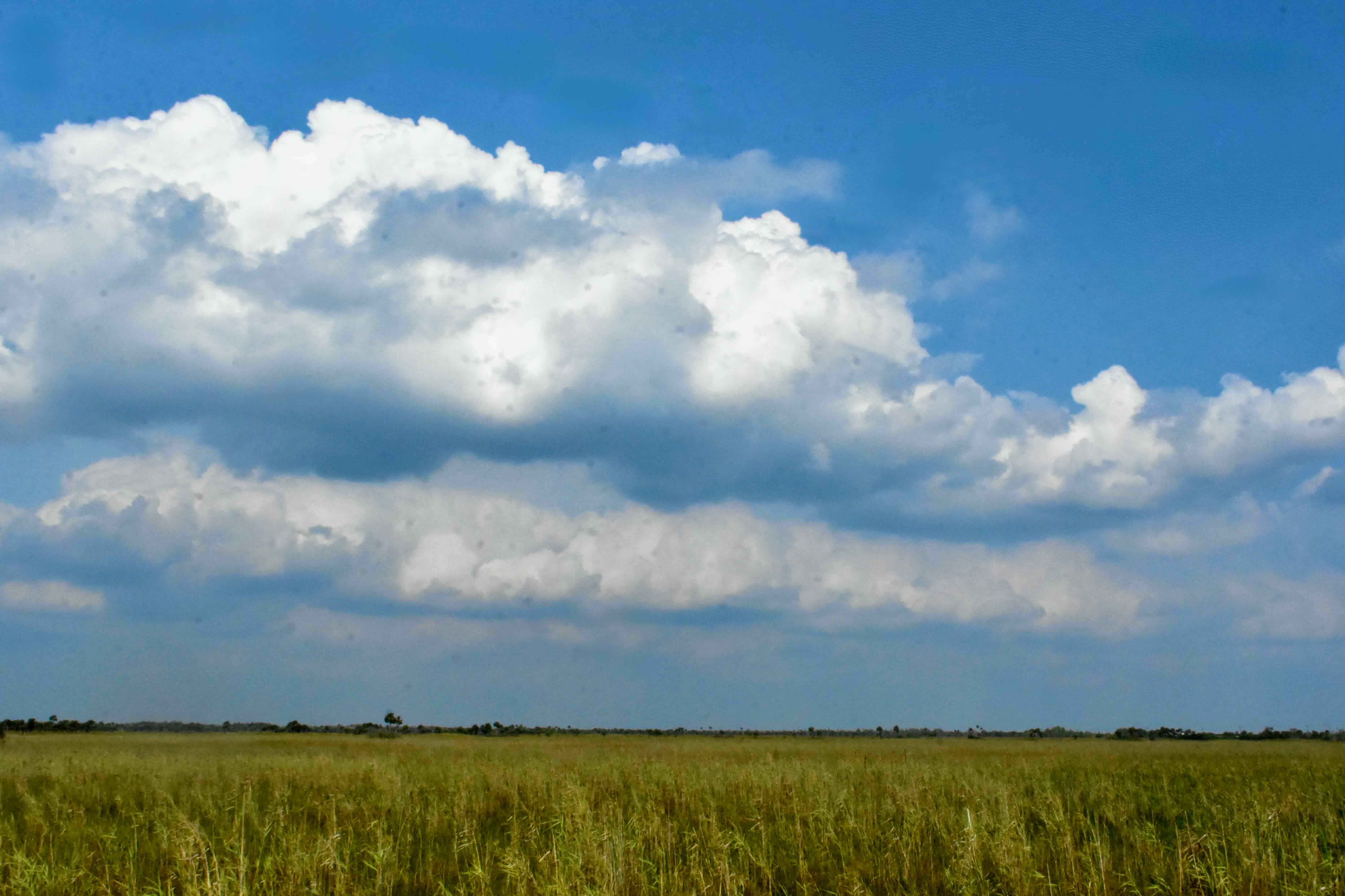 open prairie