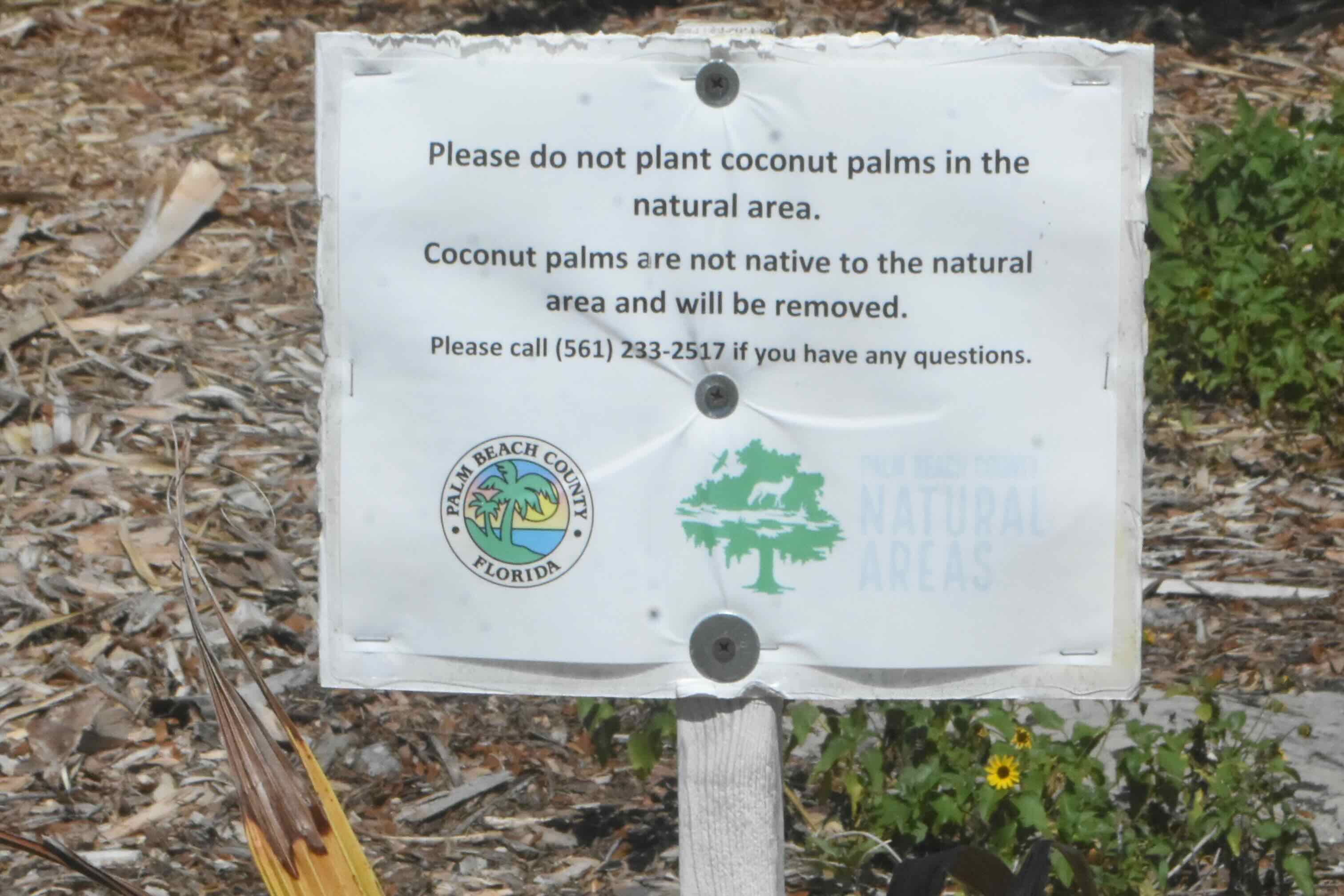 coconut palm sign