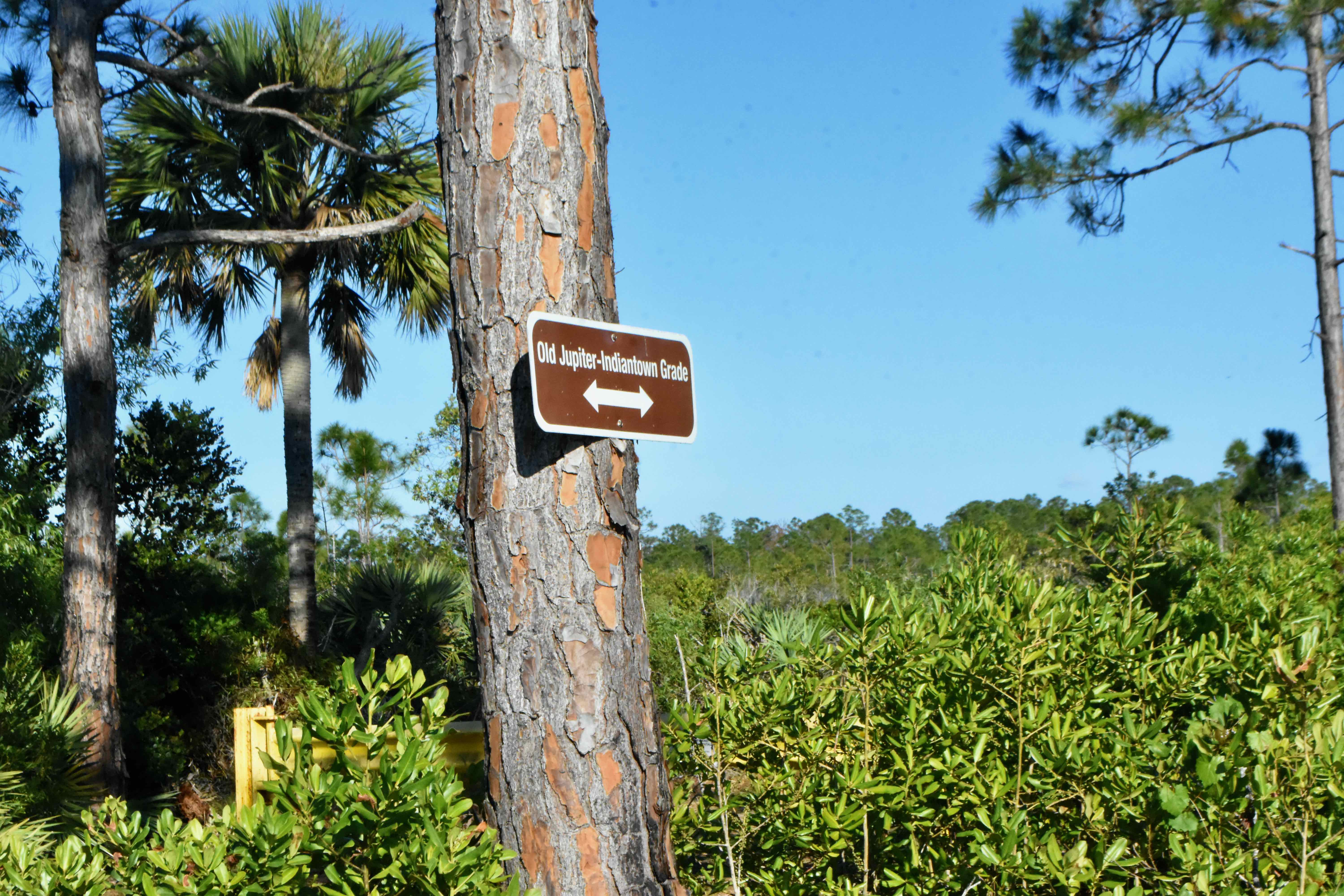 jupiter indiantown grade