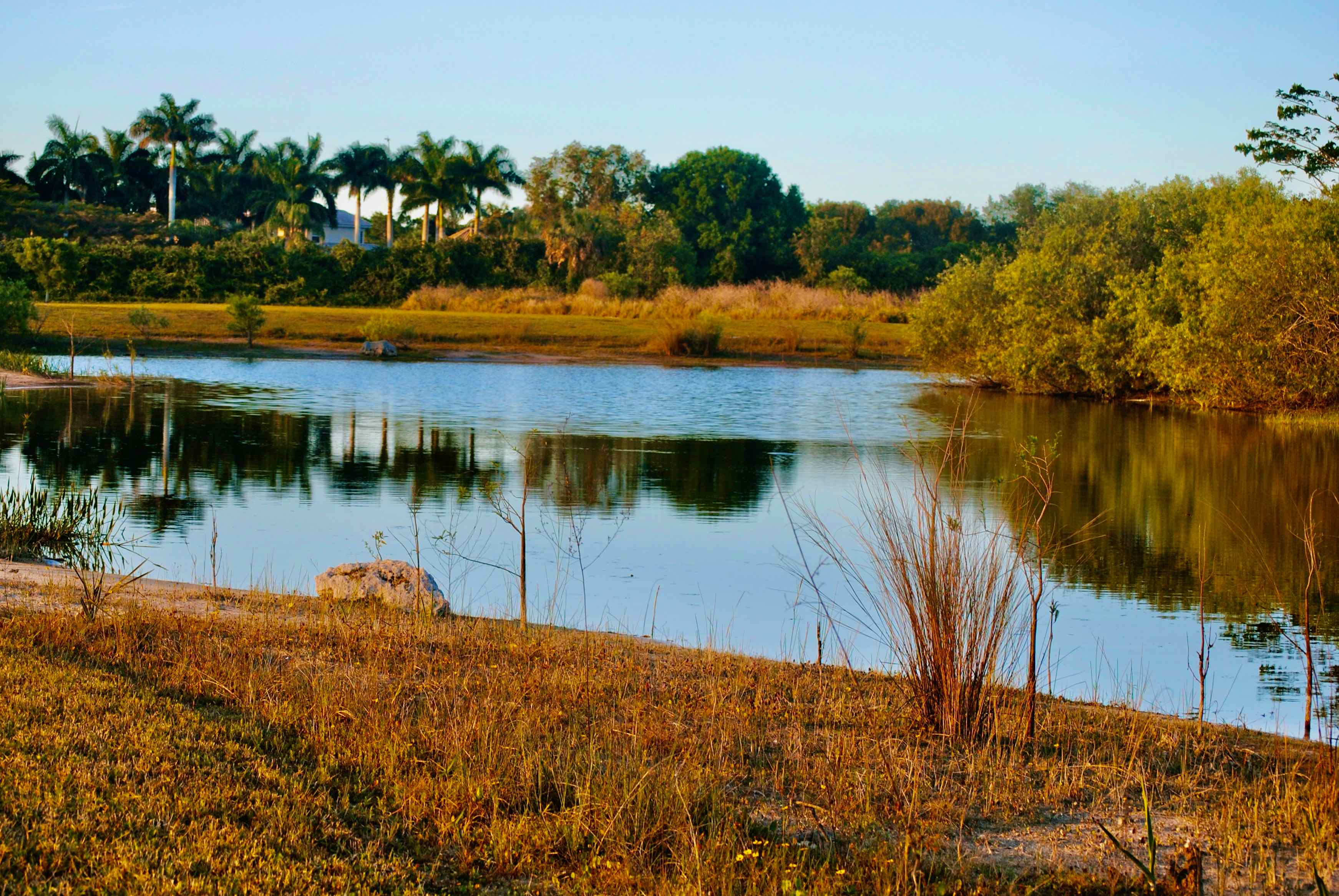 pond