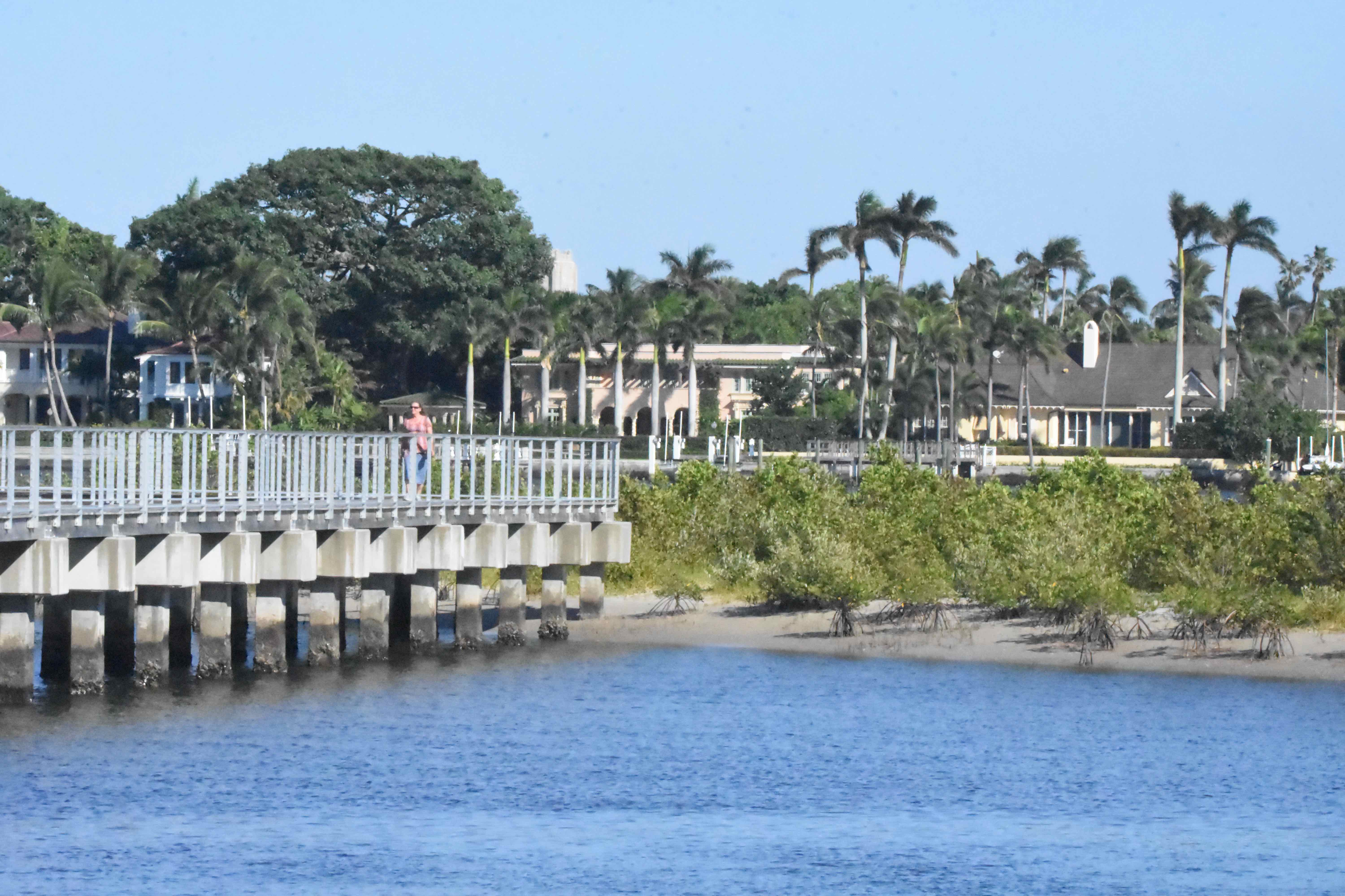 looking from flagler