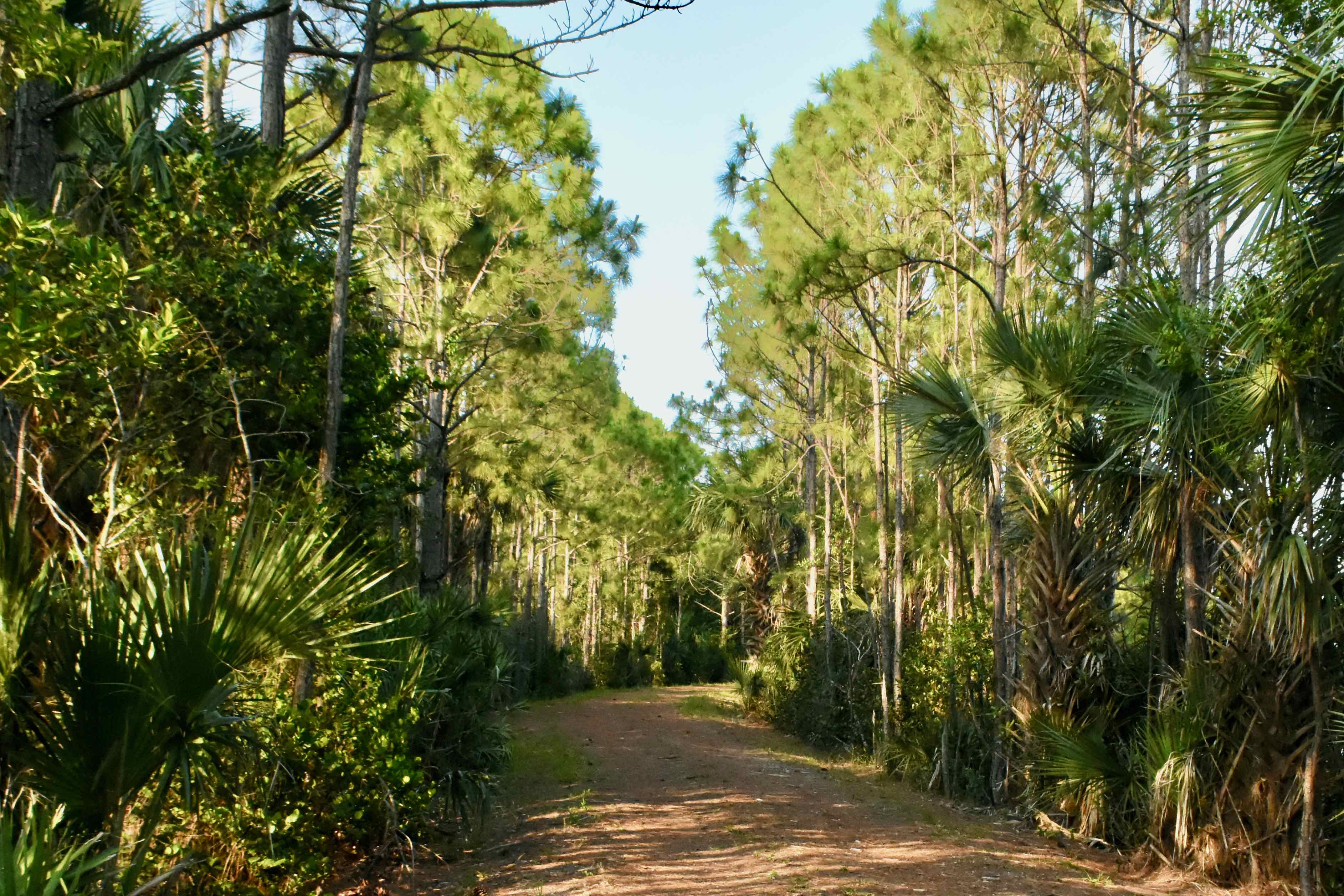 wide trail