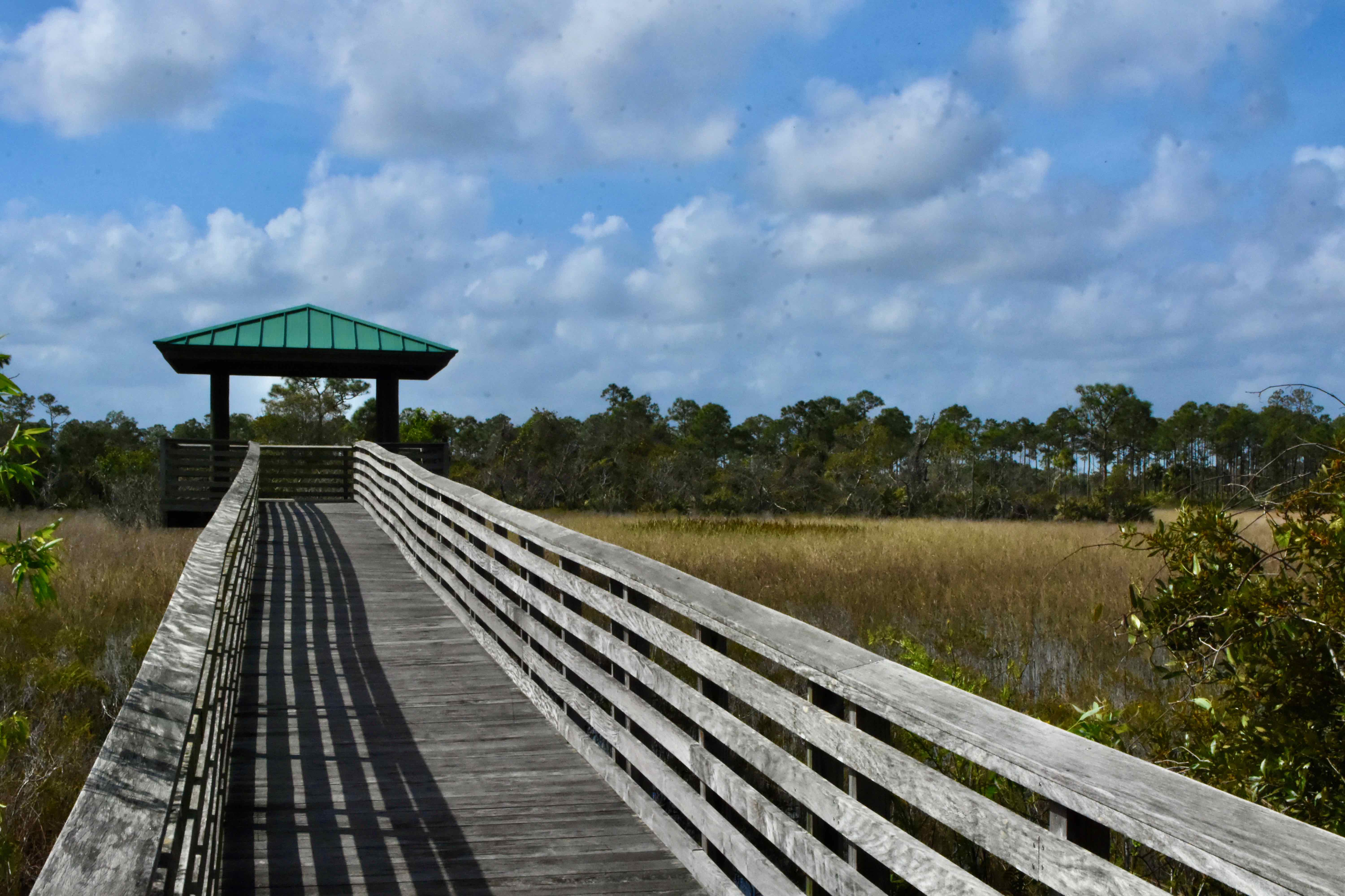 boardwalk and observation platform