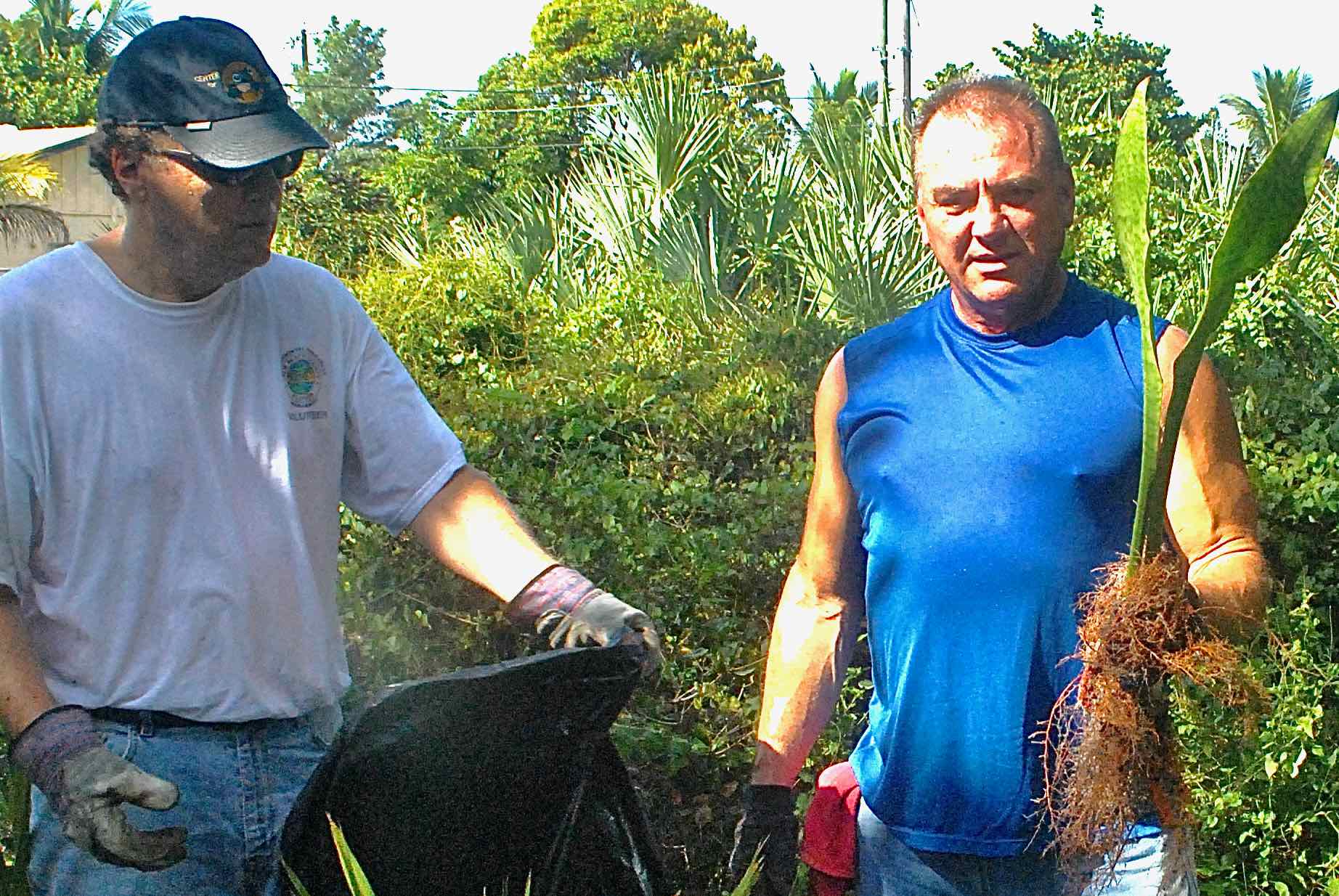 volunteers clean seacrest