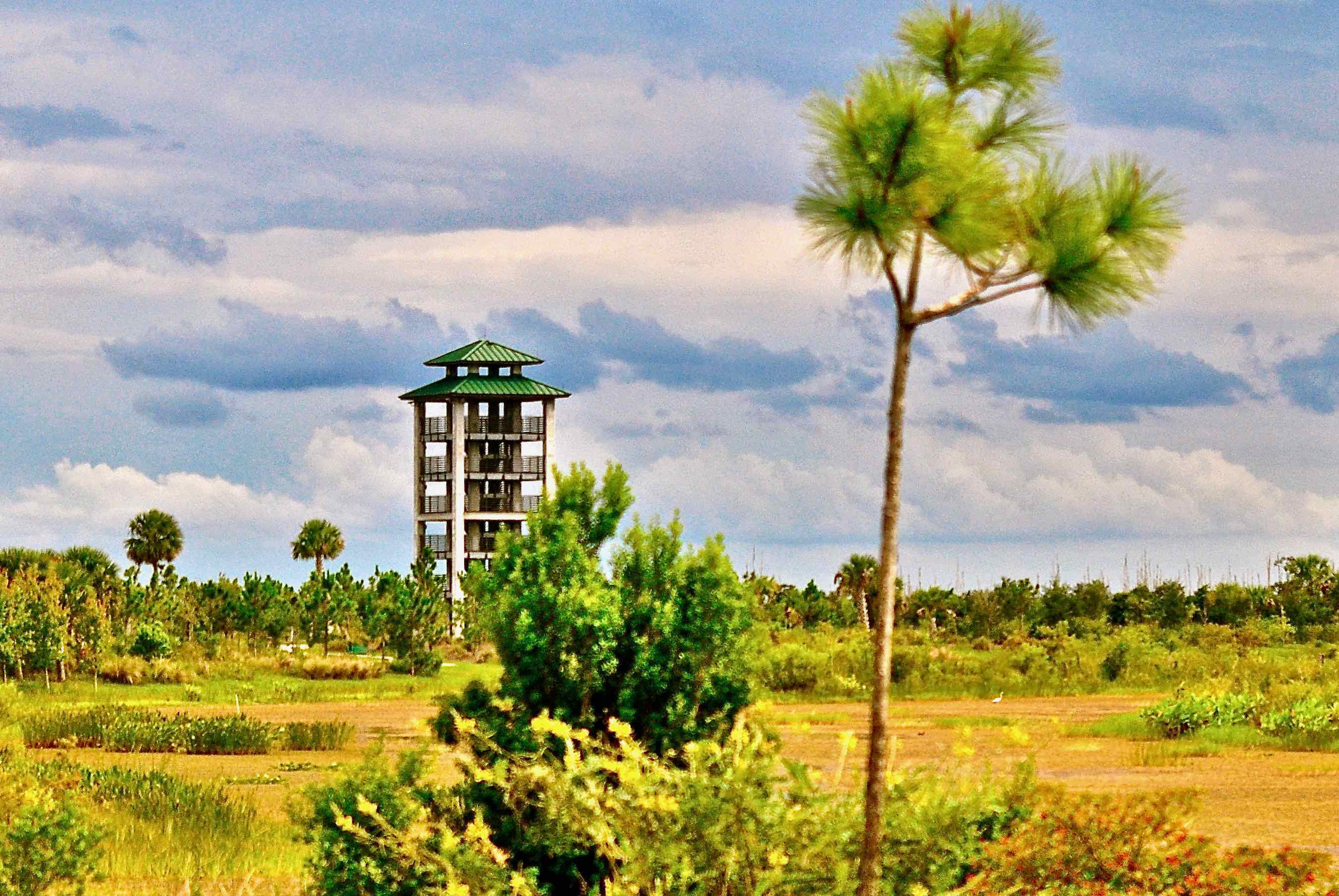 tower