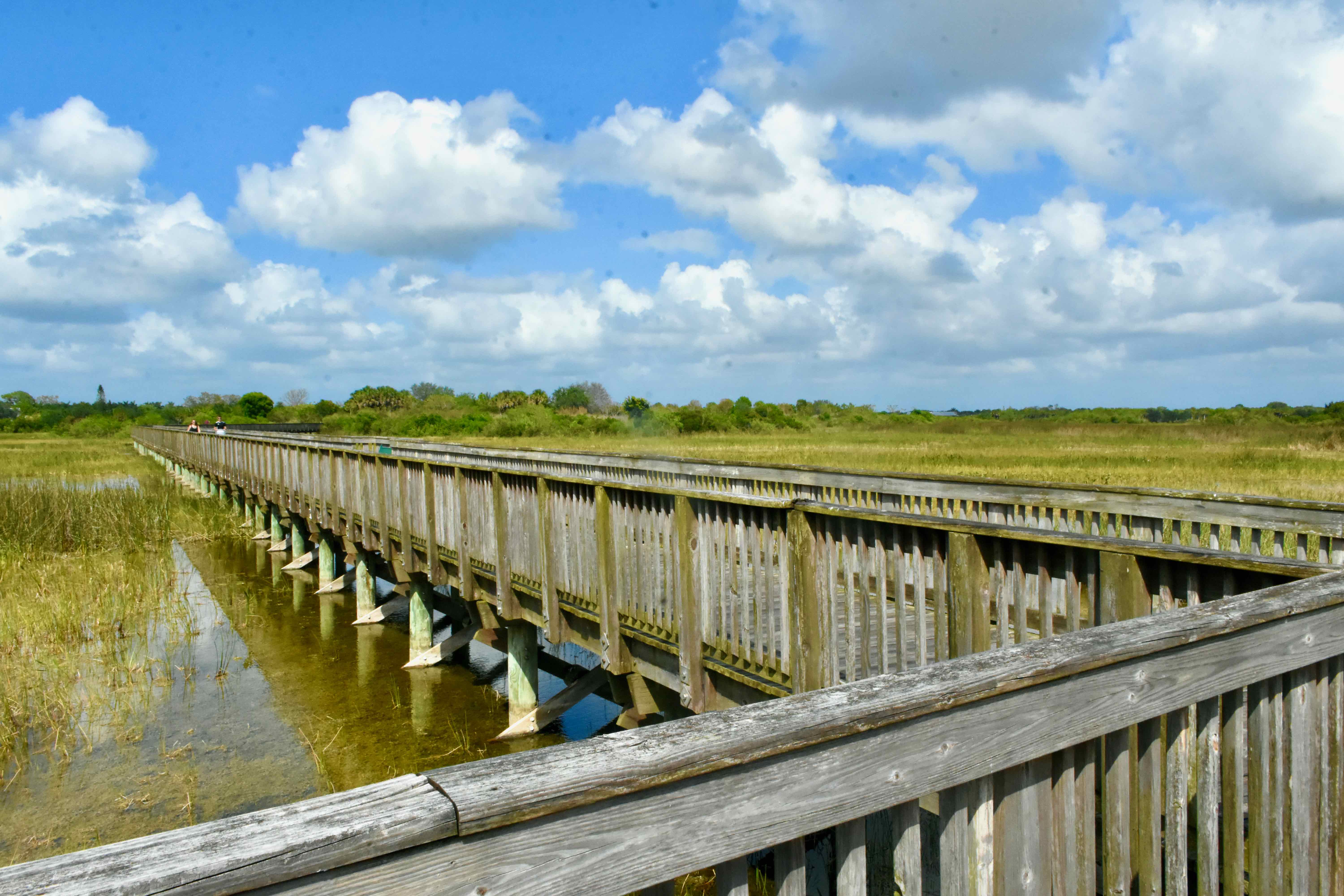 ZigZag Boardwalk
