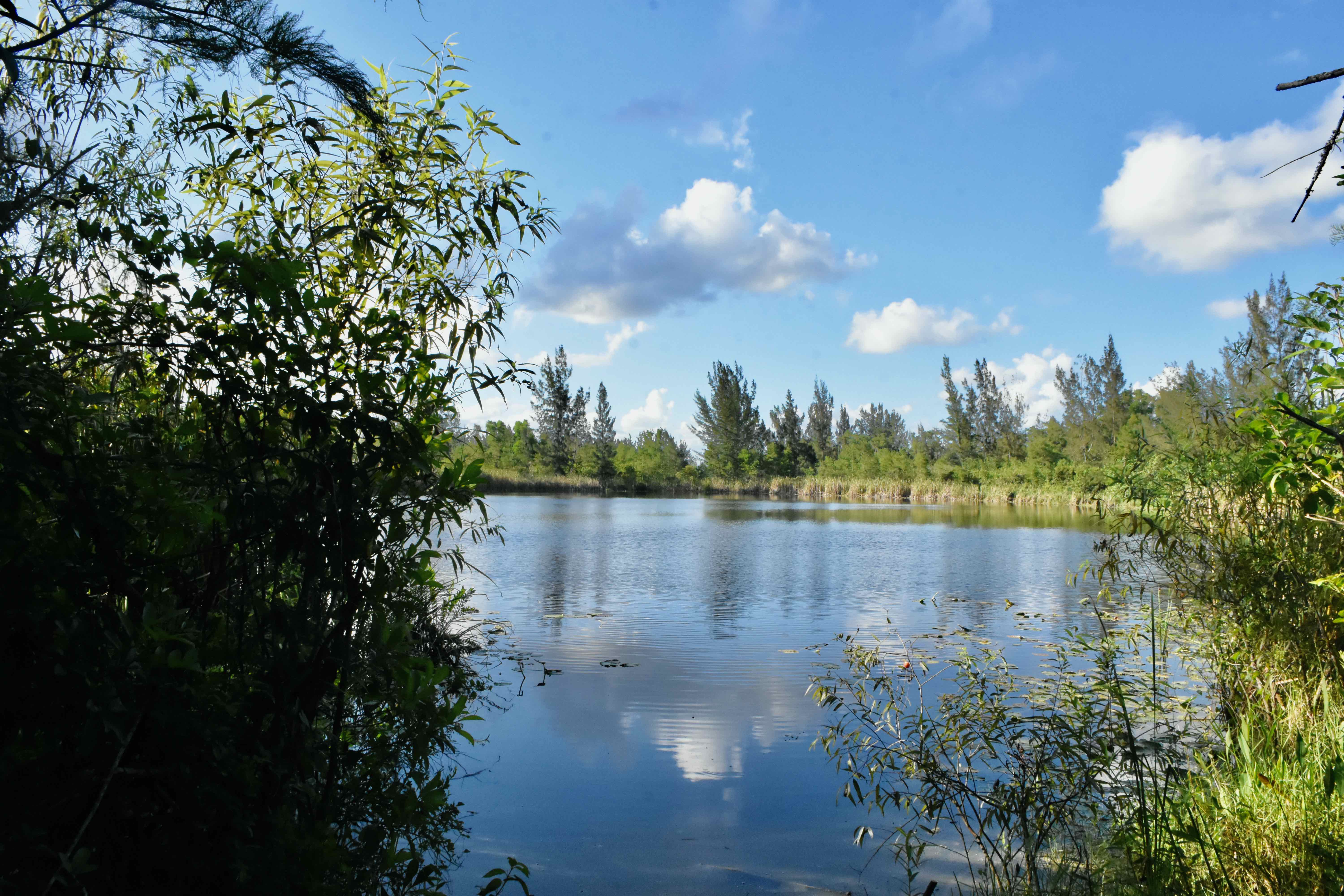 lake view