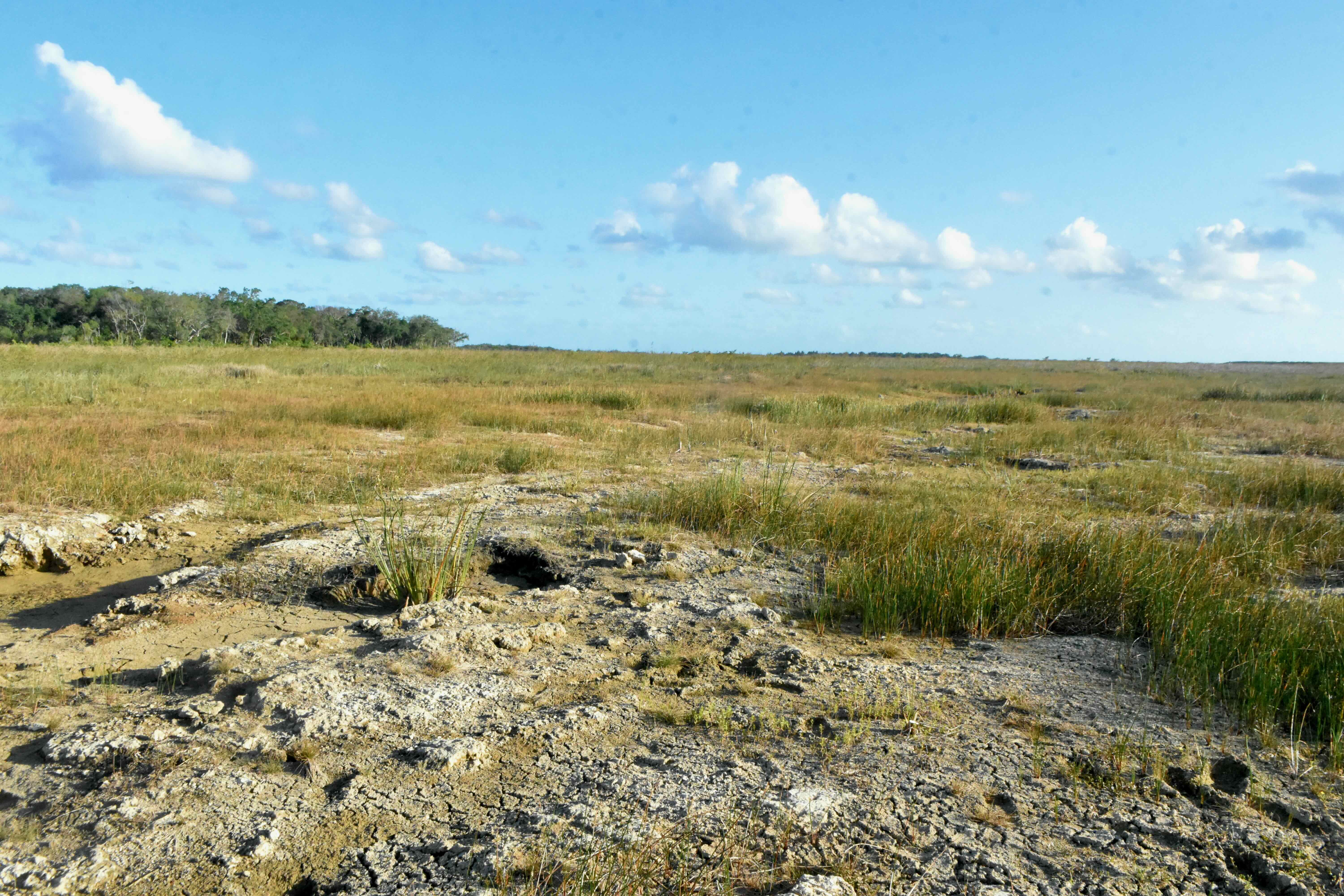 Everglades National Park